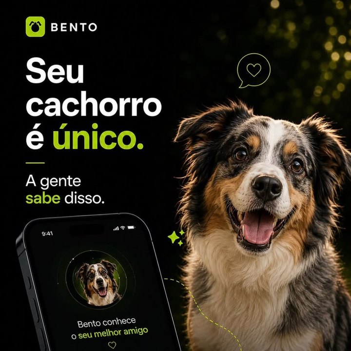 Post do BENTO: seu cachorro é único